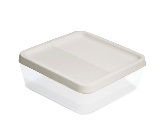 Saiba como usar caixas organizadoras de plástico em cada cômodo 13 Caixa organizadora mini com tampa cristal nude PROTEA 1735870