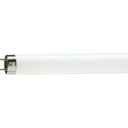 Lâmpada Tubular Bra 36w T8 Philips