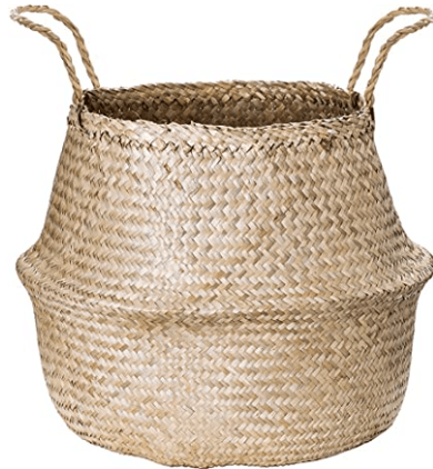 Veja 4 dicas para montar uma horta em casa sem dificuldades 14 2391317