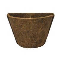 Inspire-se em dicas de plantas para decorar o banheiro 13 2430487 1