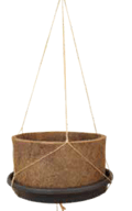 Vaso Coquim N°17 Completo Prato E Suporte