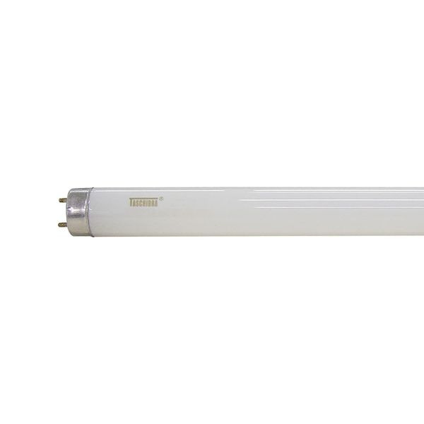 Lâmpada Fluor Tubo Convencional/Elétrica 36W T8 6400K Taschibra