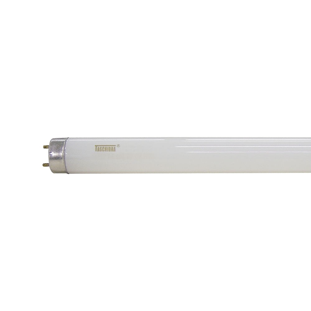 Lâmpada Fluor Tubo Convencional/Elétrica 18W T8 6400K Taschibra