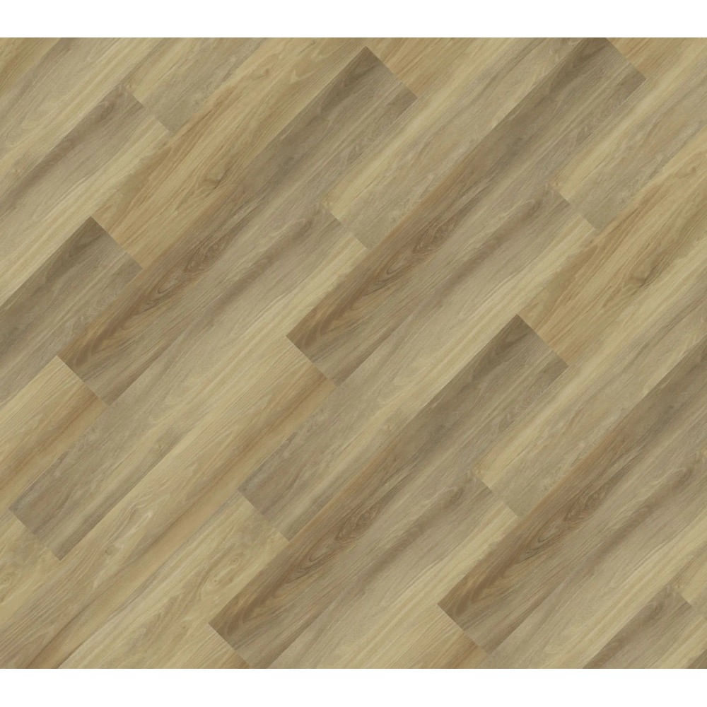 2321971 Image 1