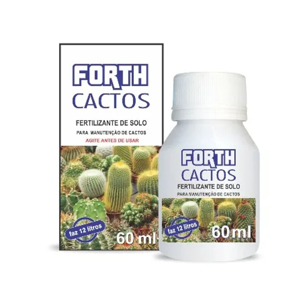 Conheça 5 motivos para ter cactos e suculentas em casa 9 1729284 Image 1
