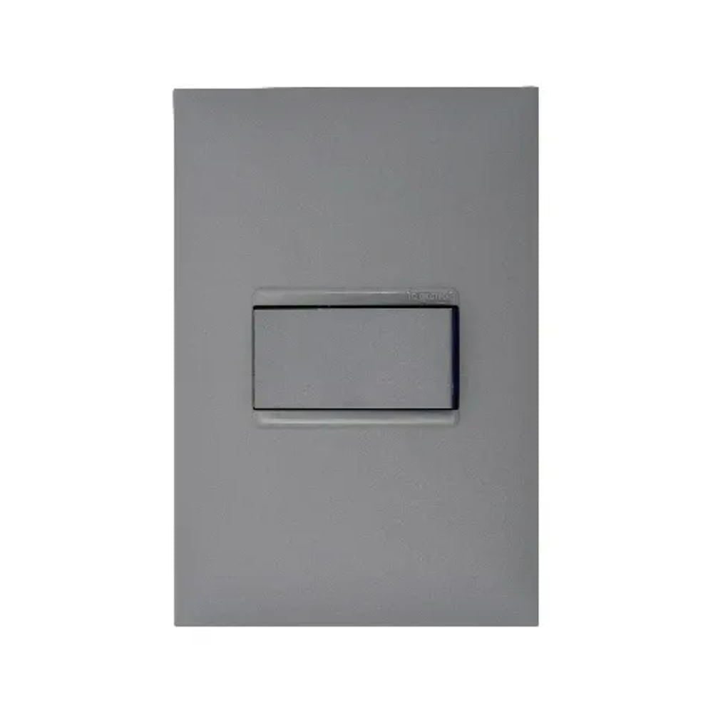 Conjunto 1 Interruptor Simples Horizontal 10a 4x2 Cinza Acetinado Monocromático 611110cz Pial Plus Legrand