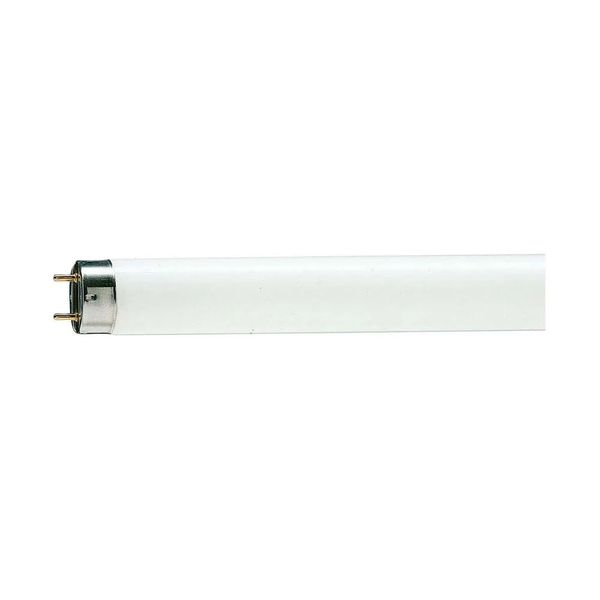 Lâmpada Tubular Philips T8 18w 6200K Luz Fria Lâmpada tubular Philips Bra 18w T8