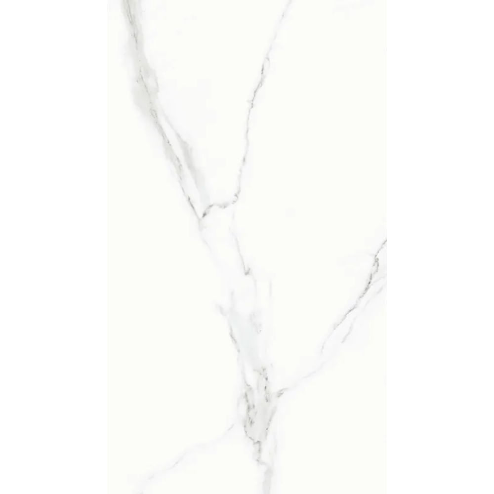 2470519 Image 1