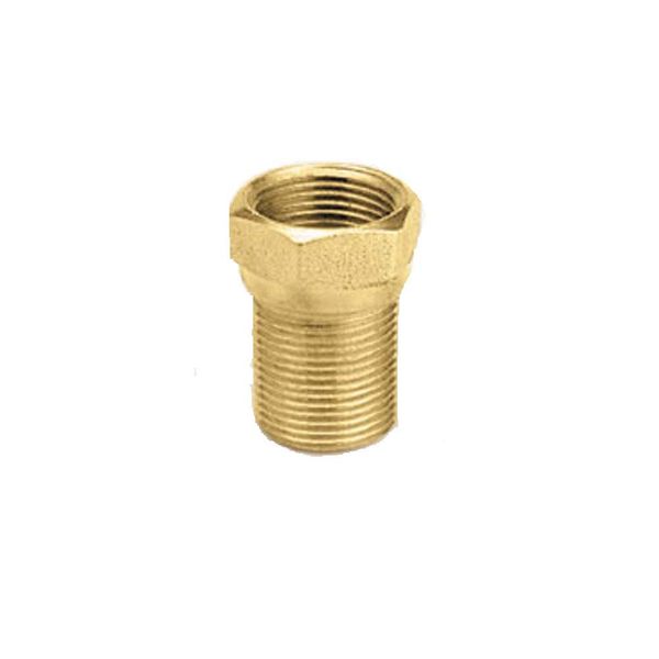 Extensão 3cm 1/2" Ramo