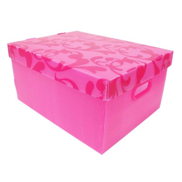 Caixa organizadora Clean Color grande rosa Boxgraphia