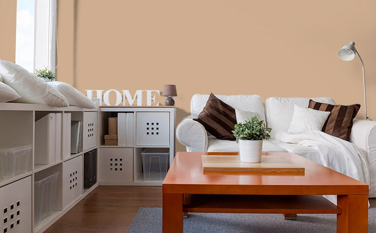 Tinta Cromio Suvinil Preço 18 Litros Tinta Suvinil Latex Fosco Standard Rende Cobre Muito Camurca 18