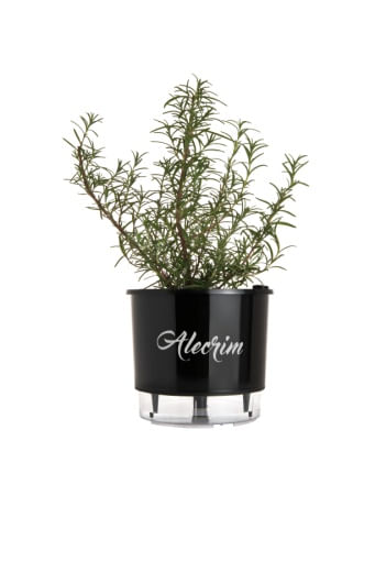 Construa um jardim vertical na sala e transforme o seu espaço 5 Vaso Autoirrigavel Alecrim Alt 14cm X Larg 16cm Preto 1635239