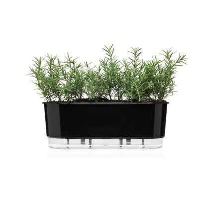 Jardineira Autoirrigável Rainbow Alt: 14cm X Larg: 40cm Preto.