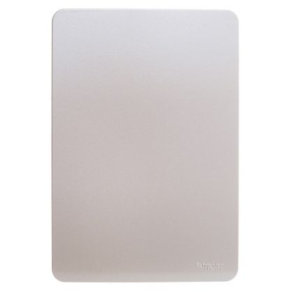 Placa 4x2 cega horizon gold orion Schneider